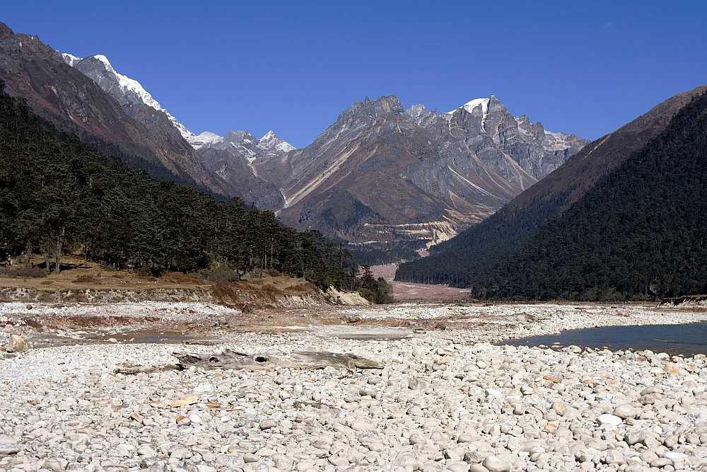 Yumthang Valley is also home to the Shingba Rhododendron Sanctuary, and has over twenty-four species of the rhododendron - PC: Shayon Ghosh (https://flickr.com/photos/shons/)
